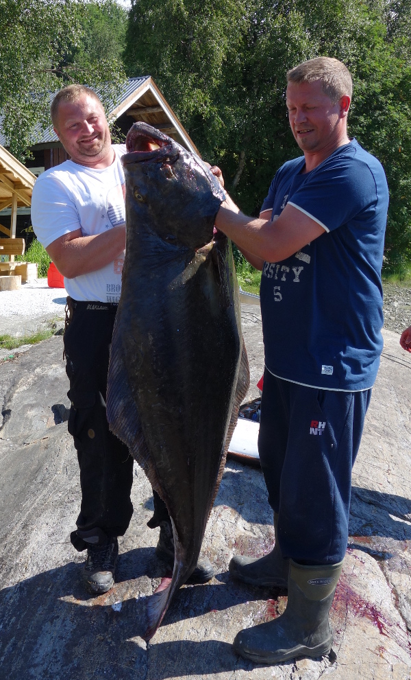 Kveita på 70 kilo var ikke så enkel å vise frem.