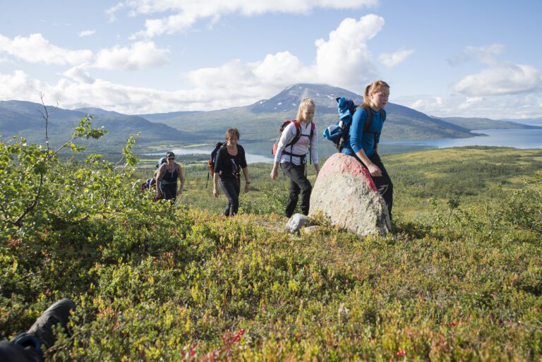 Med fantastisk vær ble naturopplevelsene mange for deltakerne i årets Okstindan Fjellmaraton.