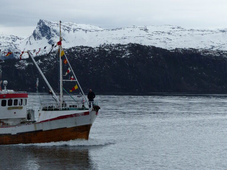 Her stevner Skarsvåg, eller Remi Ketil, inn mot kaiplass på Hemnesberget. Den 3. april 2016