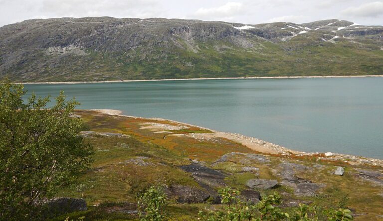 Ein vakker sommardag med utsikt over lokalitet Sørsiden II, slik den fekk namnet ved Rana-undersøkelsene for 50 år sidan