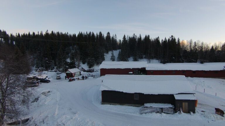 De siste forberedelsen til julemarkedet startet tidlig på dagen første søndag i advent.