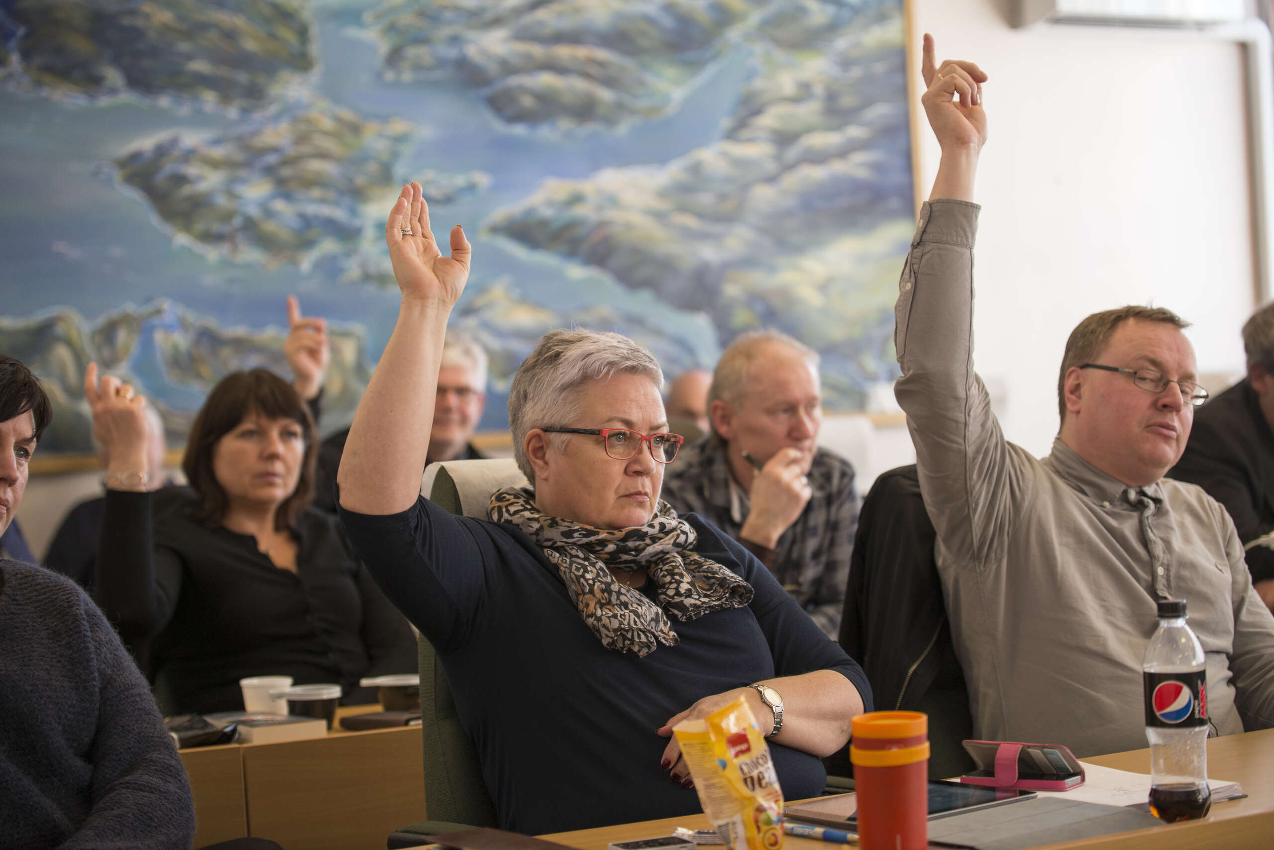 Noen stemte mot uten å vinne fram mens andre var nedstemte over innholdet. Den "nye" planstrategien ble til slutt vedtatt.