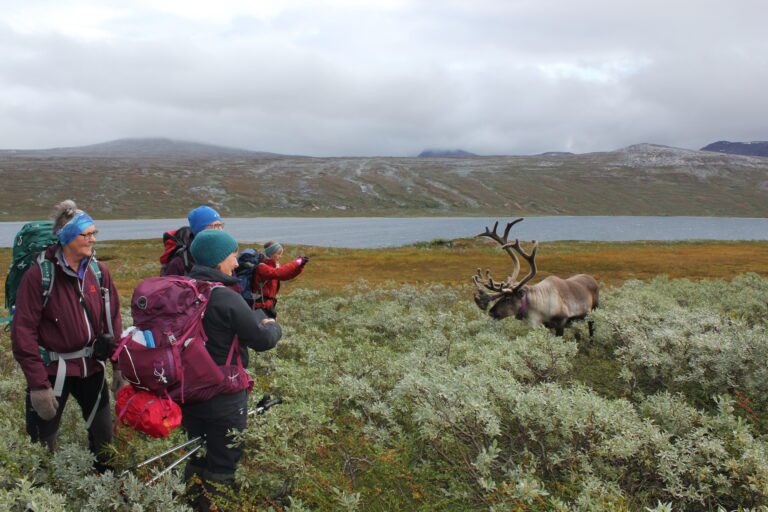 Rudolf Kuno værer godt vennskap og slår seg tilfreds sammen med Svanhild Aakvik, Bjørg Løkken, Gerd Vaag og Inger Lise Pettersen. Marianne Fineide er turfotografen.