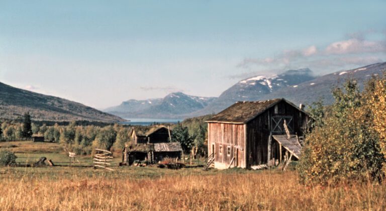 I dag er alle husene på Skog ved Røssvatnet borte, kun restene står igjen. Her er eiendommen Skog i 1960.