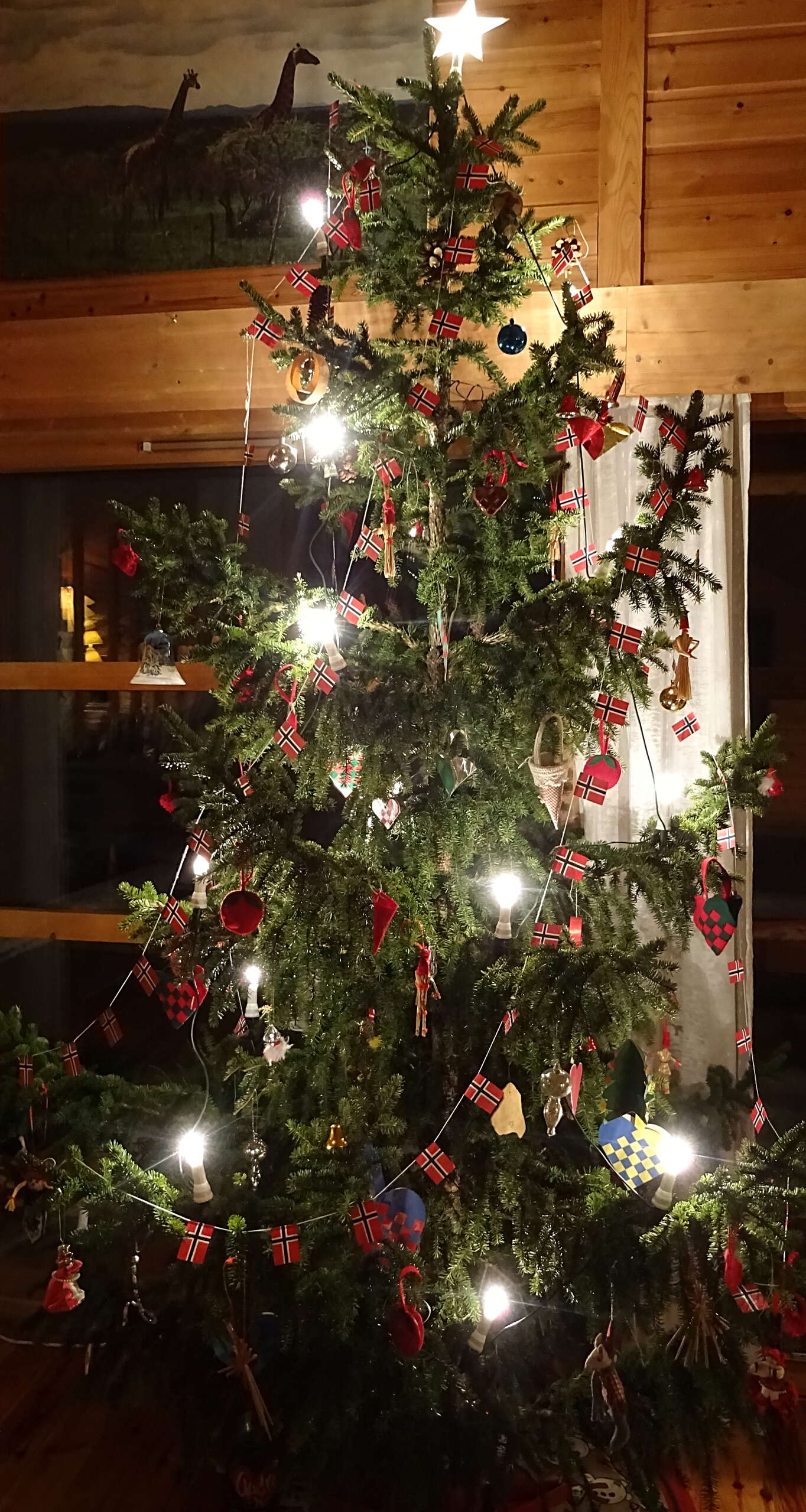 Med mykje luft under taket må eit juletre tøya seg oppver