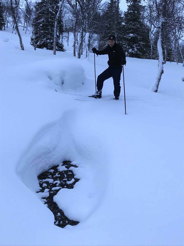 Sjøl i meterdjup snø kan vi i kaldaste vinteskogen finna åpne hol