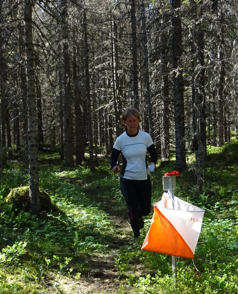 Orientering i Korgen betyr å finne fram i skog av ulik type. Nær sentrum er det mye gammel granskog