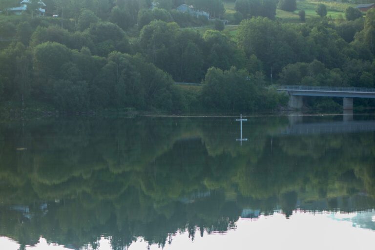 Bjerka Bygdefeskarlag aksjonerte i sommer med å sette opp et kors i elva for å markere alvoret i situasjonen for elva.