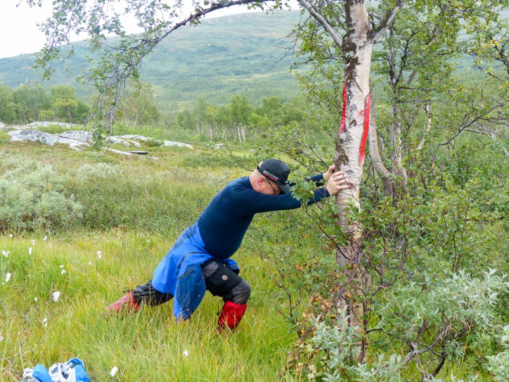 Det var mange deltakere som la merke til en person som dyttet på nær sagt ethvert tre som sto lagelig til. Når tregrensen ble nådd var det steinene som fikk ta støyten, helt til Vegard hos folkehjelpa hjalp til.