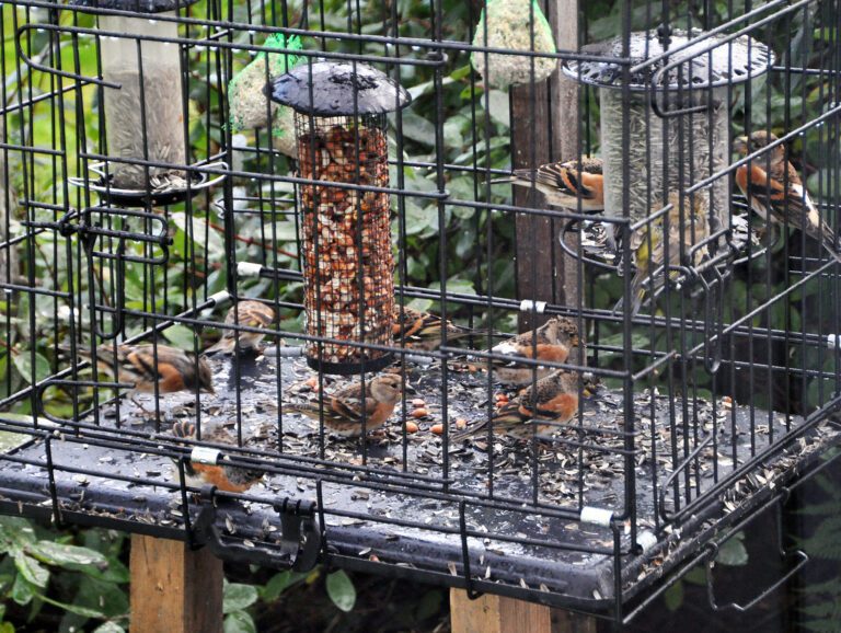 Tidvis er det full fart på den nye 