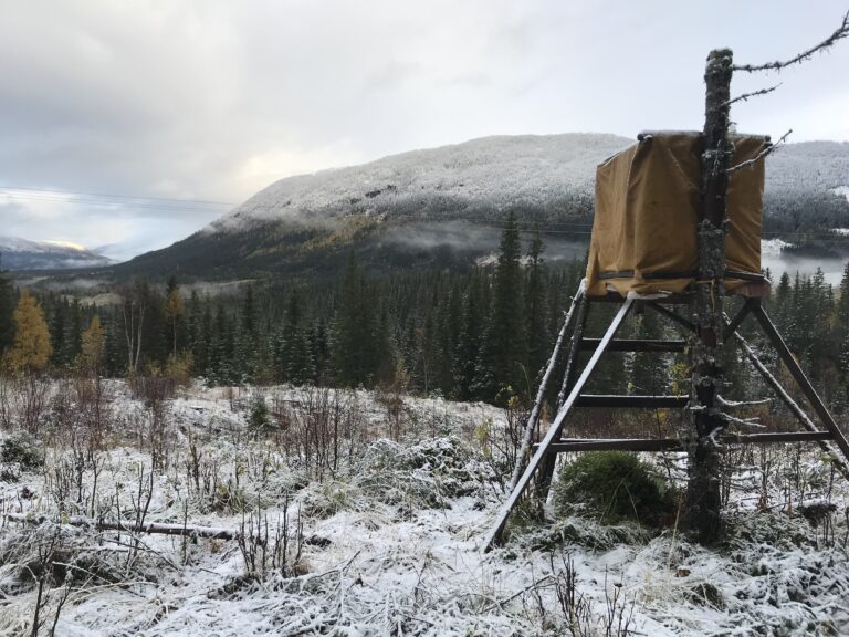 Det er greit å sitte på post i slike omgivelser.|En liten pust i bakken før stigningen virkelig begynner.|Her ser en tydelig hvor snøen har lagt seg. Og opp dit skal vi.|Vi starter jakta langs vei. Bare noen hundre meter vel og merke