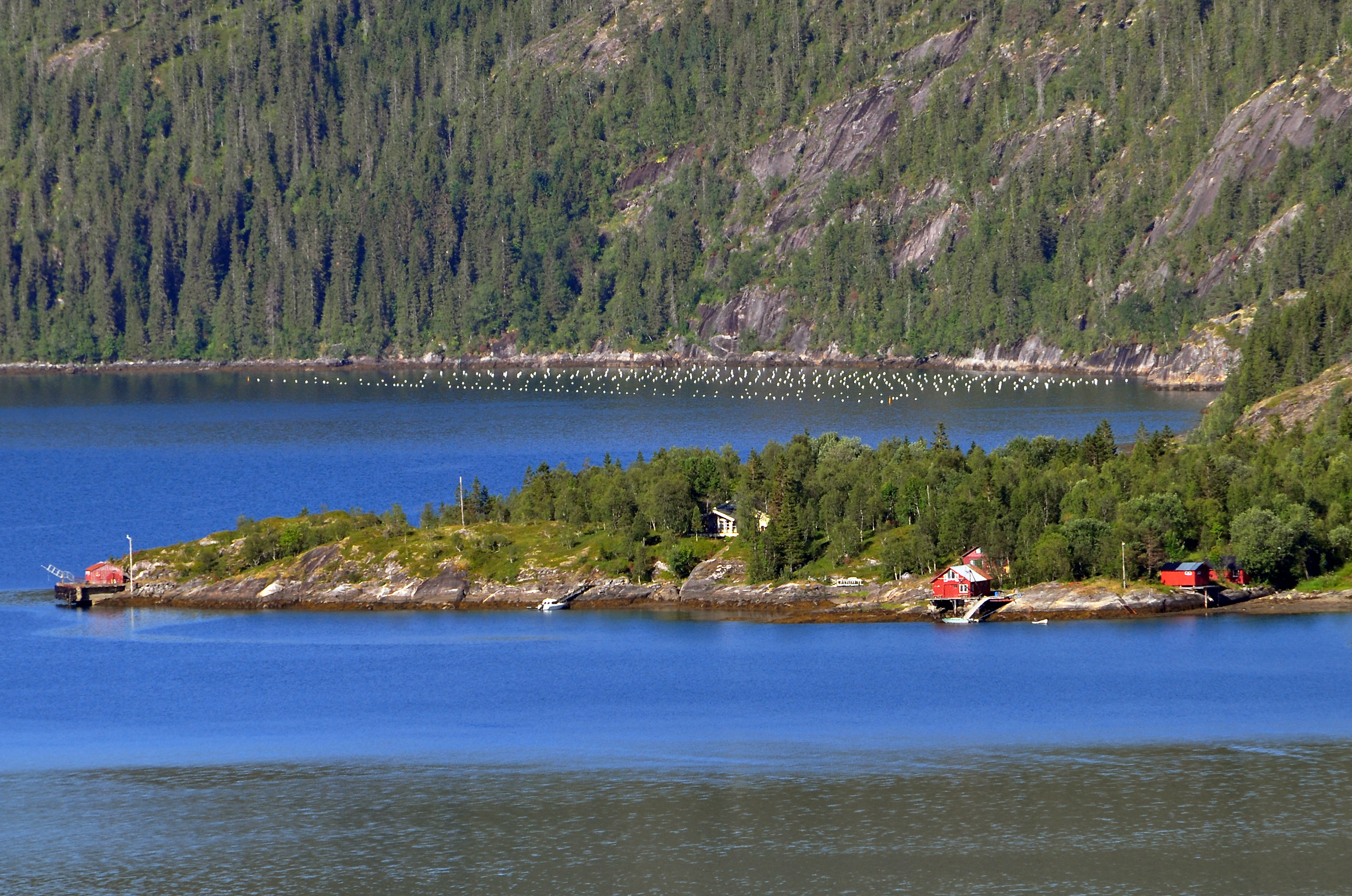 Oppdrettsanlegget nedenfor bebyggelsen i Brennesvika båndlegger et stort område som var en god fiskeplass før.|Fjordarmen Leirvika ble fratatt ferja politisk. Nå kan fjorden også miste sin attraktivitet som rekreasjonsområde for hemnesværingene.|Blir det mindre muligheter for yrkes- og fritidsfiske på Leirvik om det etableres ytterligere 2 oppdrettsanlegg i fjorden.|Mastervika ligger nesten innerst i Leirvika.|Storsteinvika er en populær plass for strandhogg og telting for hemnesværingene.