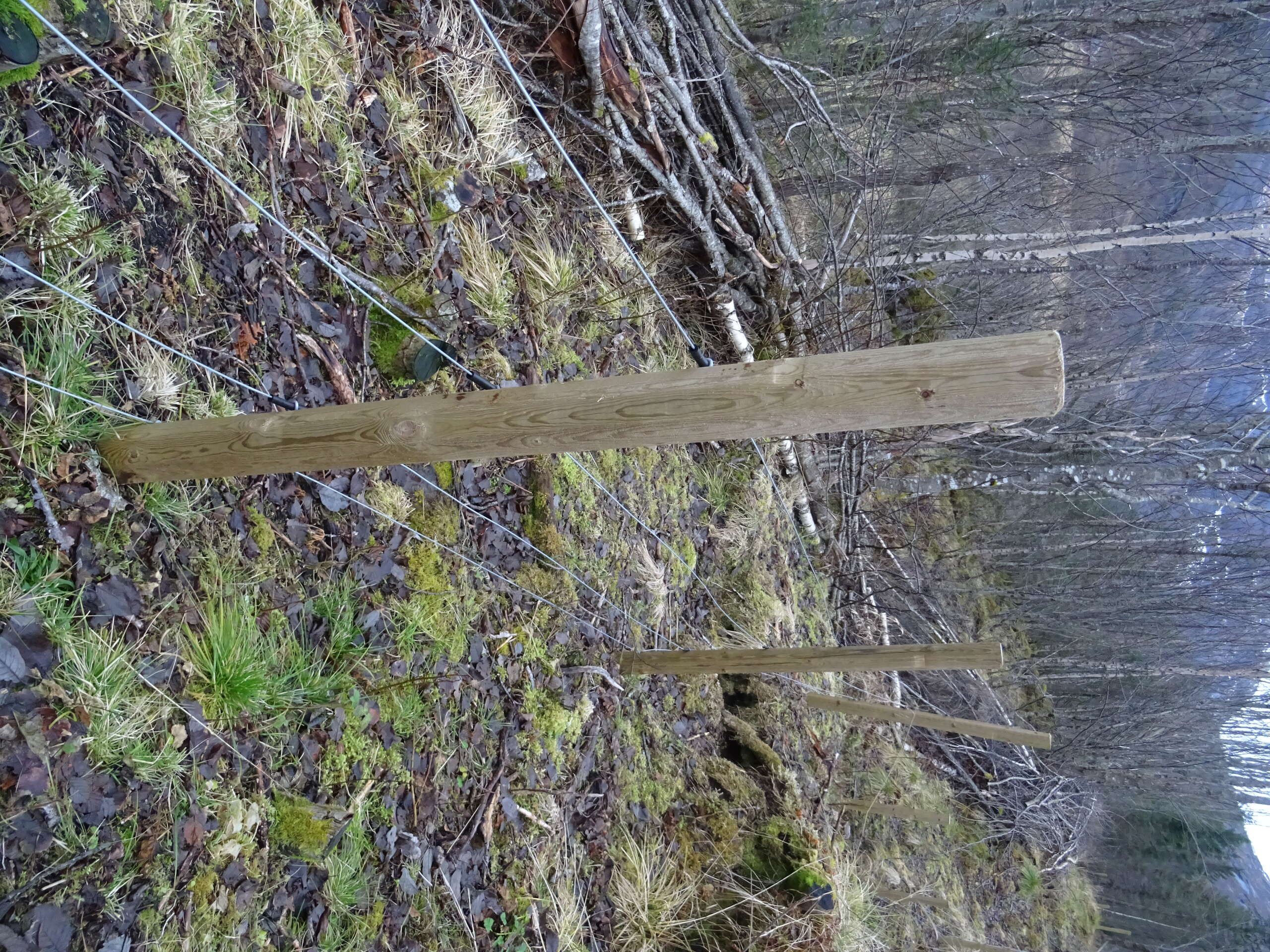 Gjerde av nyare dato. Her er det rydda og gjerdet ser ut til å vera oppsett etter boka. Alt på stell!|Etter 2010 er det totalforbod mot bruk av piggtråd. Dette gjerdet held ikkje rett standard. Landbruksetaten ser helst at gjerdeeigarane sjølve tar affære i slike tilfelle.|Her kjem Sverre Storbæk med eit par knippe piggtrå frå eit utmarksgjerde som ikkje lenger er i bruk. Trådkveilene blir no lagra i garasjen. Seinare kan dei for eksempel leverast til resirkulering.