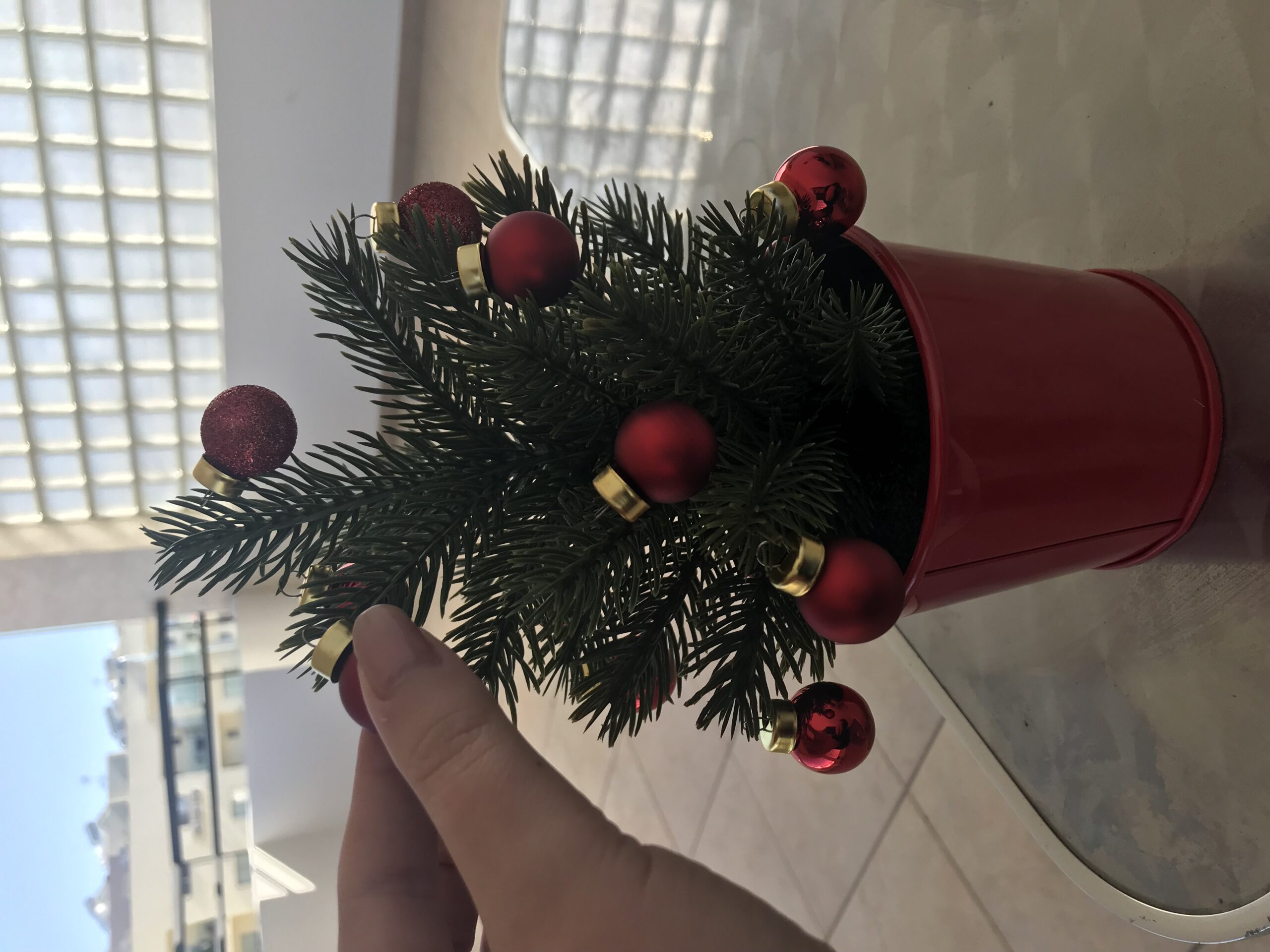 På IKEA kjøpte jeg ei lita gran. Den pyntes med julekuler i passende størrelse.|Så glad er jeg for å se på en julestjerne. Den gir litt julestemning. Kanskje.|Jeg tar frem duftlys og gjenkjennelig sjokolade for å lete frem julestemningen.|Dette er mitt første møte med julen ute på gata. Ei julegran uten pynt.|Er dette en julestjerne? Jeg tok et bilde for sikkerhetsskyld.|Jeg kan bekrefte at man ikke får servert gløgg her.|En fugl hvit som snø. Det er definitivt litt juleaktig.|Viser om jul serverte han ikke