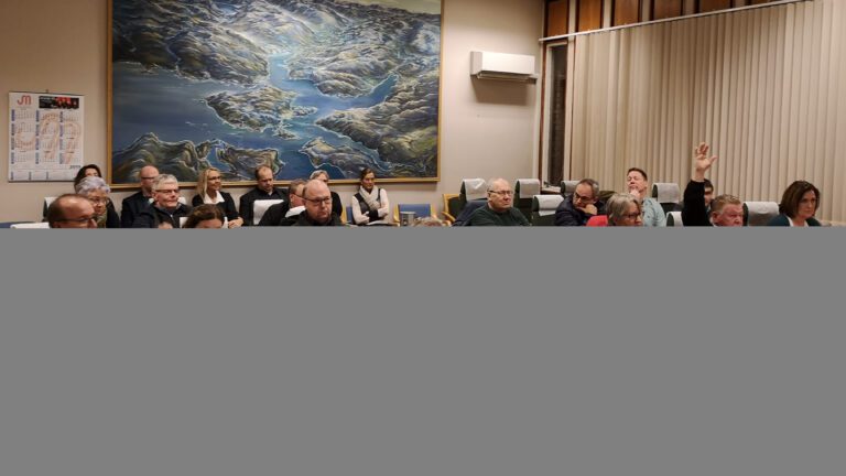 De aller fleste var enige om at det vedtatte budsjettet ikke var til å leve med. Kun Sverre Storbæk (Frp) stemte mot driftsbudsjettet for 2019, mens han fikk selskap av Per Øyvind Eriksen (HS) i motstand mot økonomiplanen for drift 2020-2022. Investeringsbudsjettene og verbalforslagene fikk ordføreren gjennom uten en eneste stemme mot.