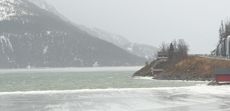 Erfarne isfiskere har satt opp merkepinner i den tykke isen i Grønnvika. Råka er farlig nær hvor isfiskerne bruker å sitte utpå.