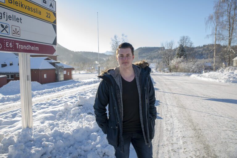 Dette er en av veiene det har vært stor uenighet om navnet, og om den skal endre navn underveis. Veien heter i dag Parkveien i noen hundre meter. Forslaget var opprinnelig at den skulle hete Bleikvassliveien, andre forslag er Sørfjellveien og Villmarksveien. Konstituert teknisk sjef i Hemnes kommune, Karl-Johan Lenningsvik ønsker nå begrunnede forslag fra innbyggerne.